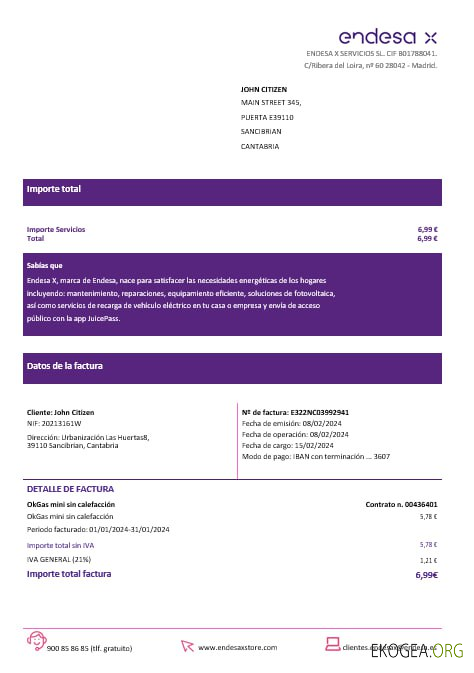 Spain Barcelona endesa X electricity  utility bill Word and PDF formats